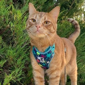 Meet your Posher, Joanne